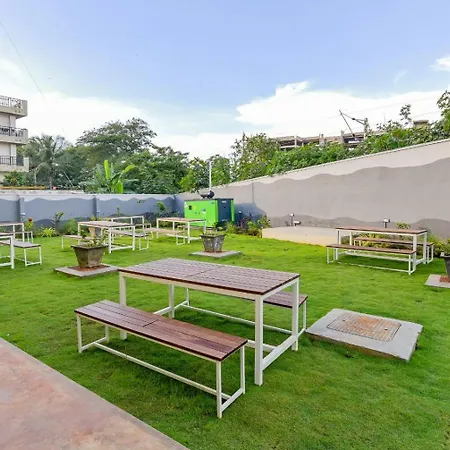 C-Suites Winster